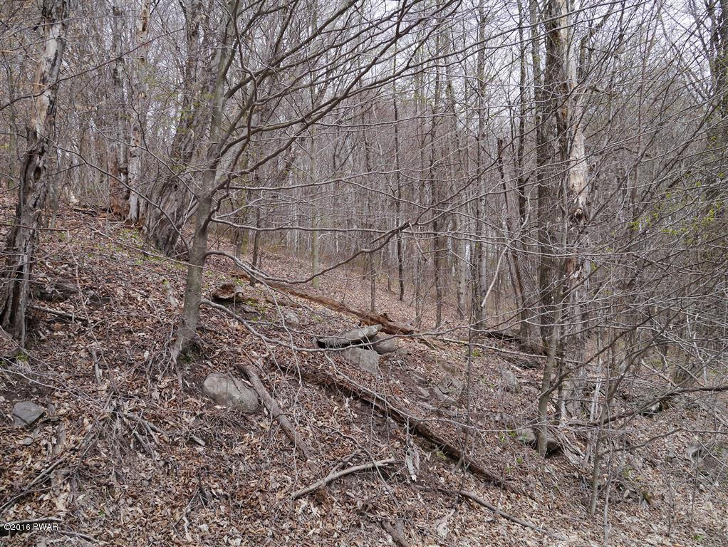4007 L R Road Pleasant Mount, PA 18453 - Photo 2 of 3