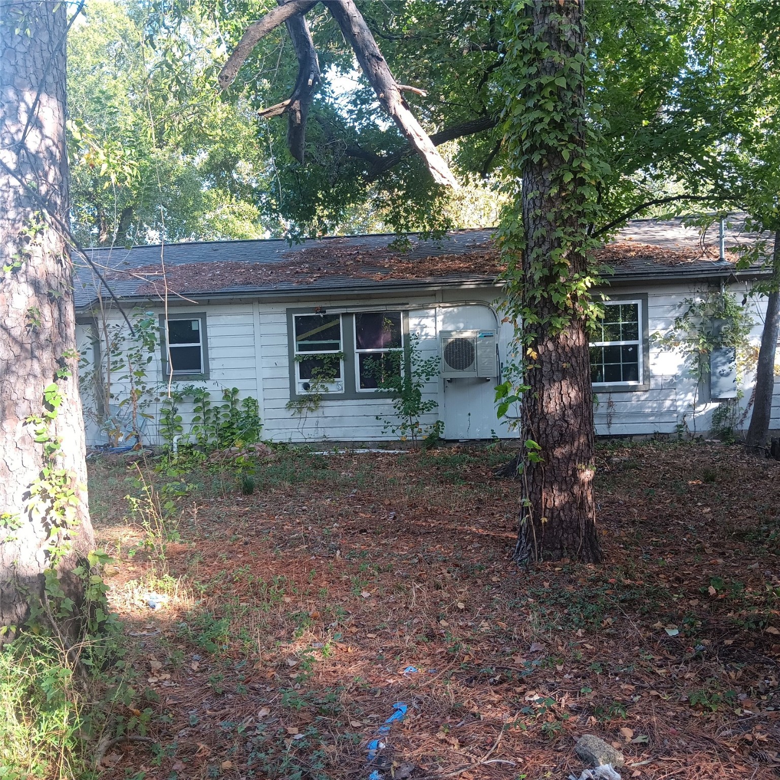 6414 Mohawk Street Houston, TX 77016 - Photo 2 of 6 a backyard of a house with plants and large tree