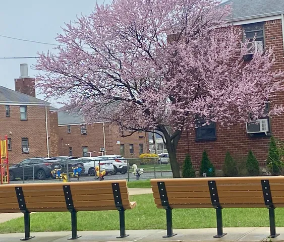 a view of bench and bench in front of house