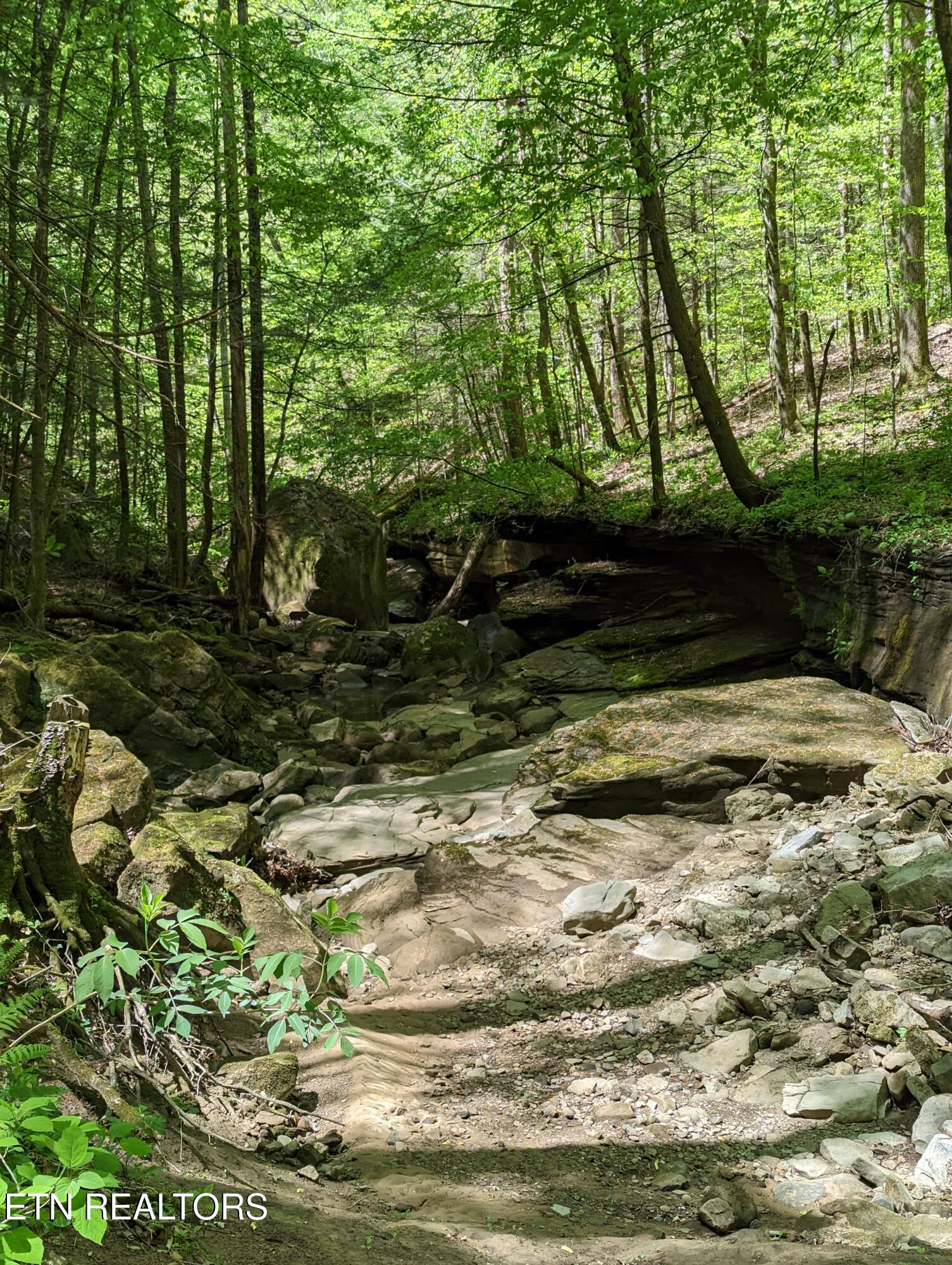 Cherokee Path Jamestown, TN 38556 - Photo 8 of 14 8