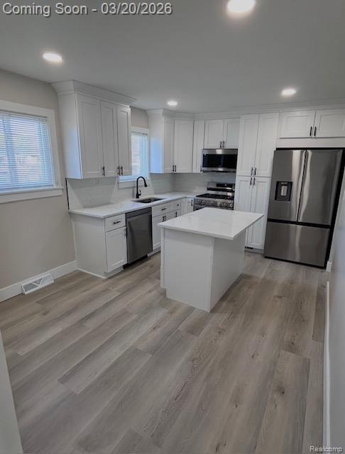 7208 Bluebill Road Algonac, MI 48001 - Photo 11 of 30