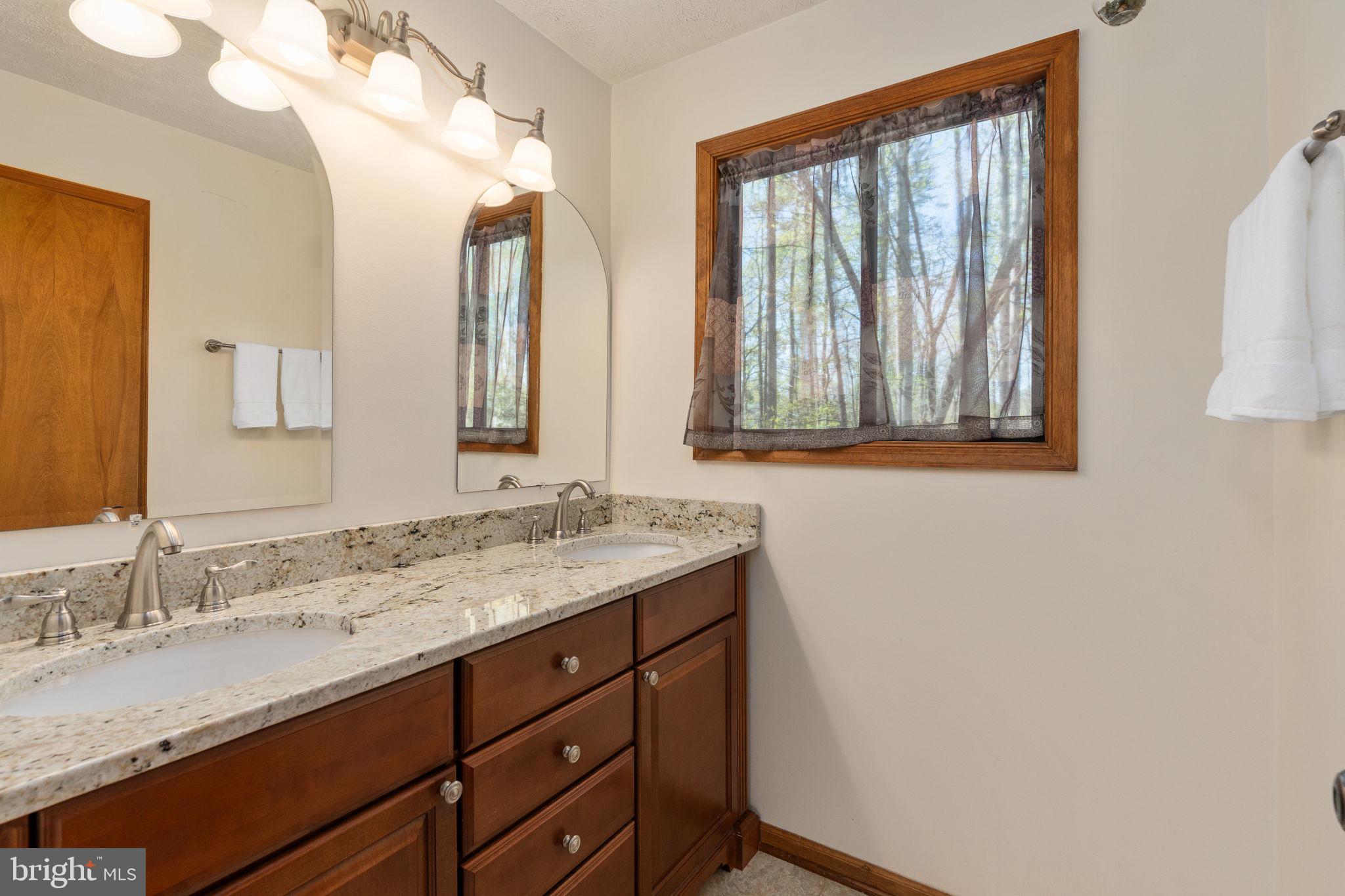100 Pleasant Grove Road Locust Grove, VA 22508 - Photo 24 of 32 a bathroom with a granite countertop sink and a mirror