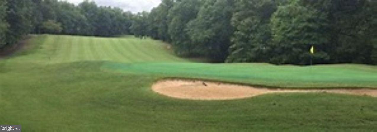 100 Pleasant Grove Road Locust Grove, VA 22508 - Photo 32 of 32 a view of a golf course with a lake