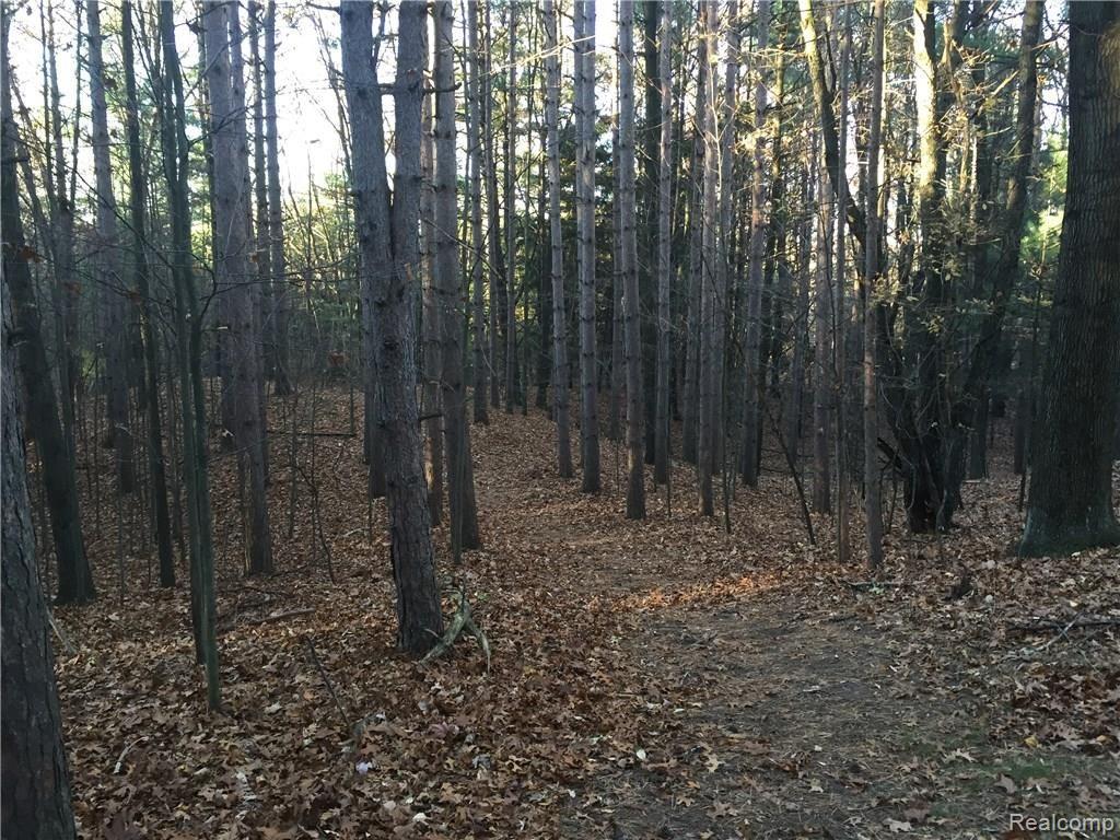 Vl Lake George Road Dryden, MI 48455 - Photo 8 of 23