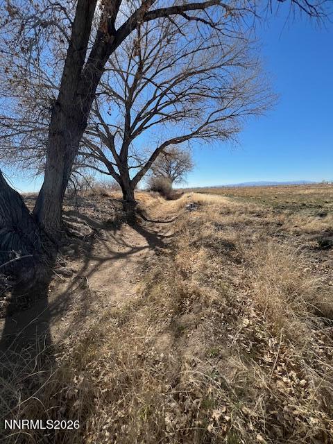 40.23-acres Workman Road Fallon, NV 89406 - Photo 3 of 6 Workman Rd 3