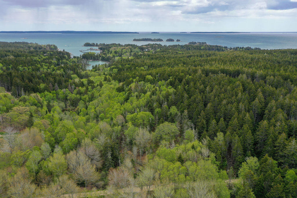 22-2 Eaton Point Road Deer Isle, ME 04627 - Photo 21 of 26 Eaton Point Land