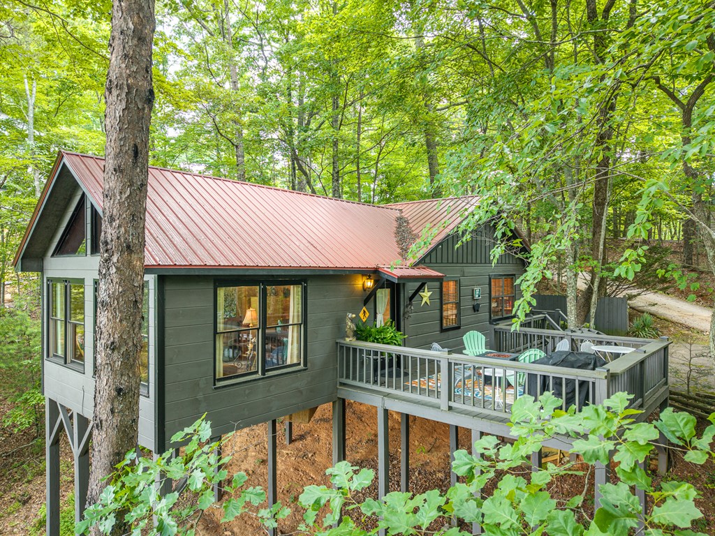 600 Cohutta Mountain Road Blue Ridge, GA 30513 - Photo 7 of 46