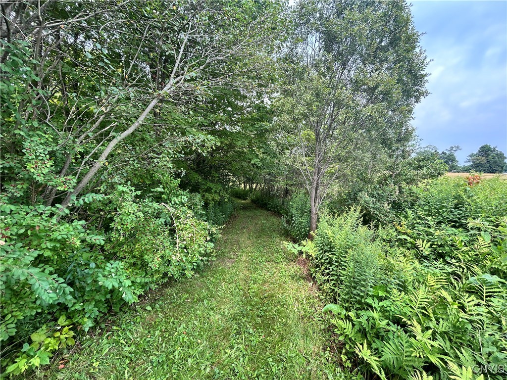 505 County Rte 50 Boylston, NY 13083 - Photo 44 of 48