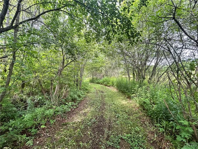 $397,000 | 505 County Rte 50, Boylston, NY 13083