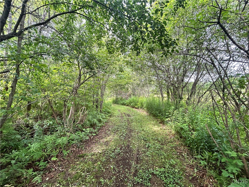 505 County Rte 50 Boylston, NY 13083 - Photo 45 of 48