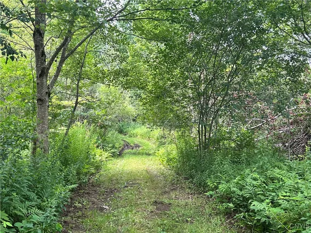 $397,000 | 505 County Rte 50, Boylston, NY 13083