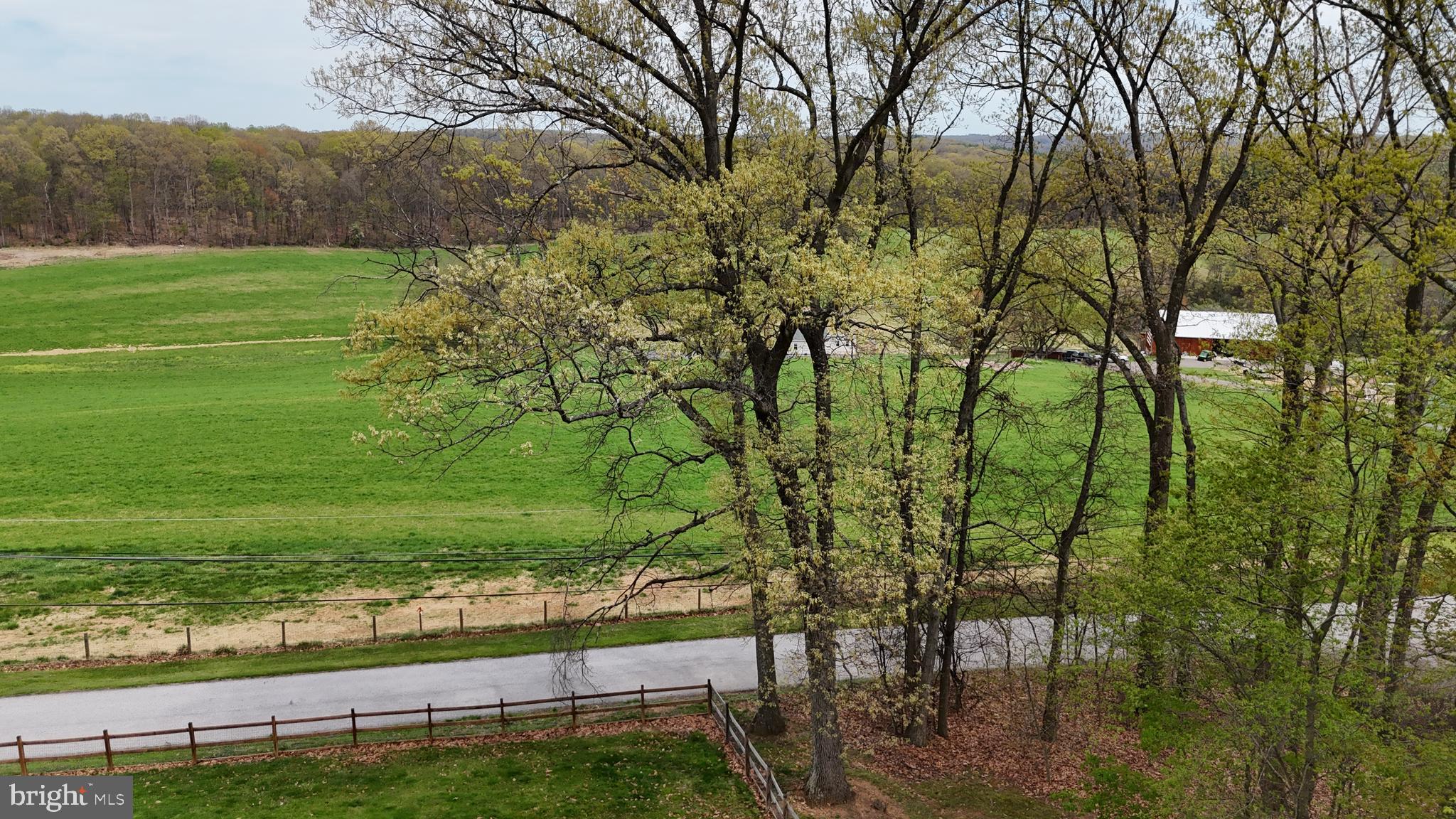 19422 Resh Mill Road Hampstead, MD 21074 - Photo 46 of 55 a view of a yard with a tree