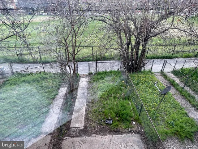 a view of a yard with large trees