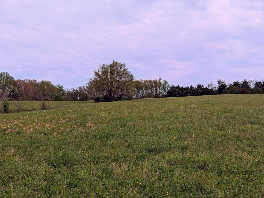 624 Cary Shop Road Burkeville, VA 23922 - Photo 1 of 5 Gallery Image 1
