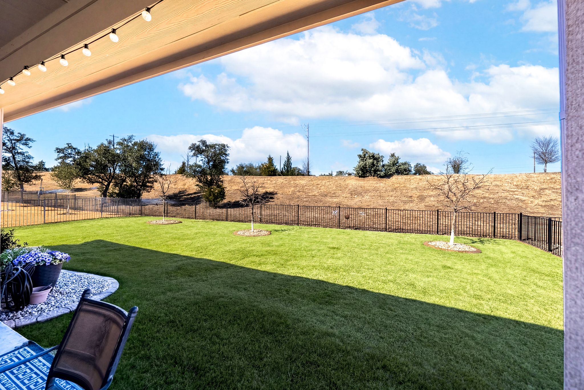 642 Martingale Street Georgetown, TX 78633 - Photo 37 of 40 The backyard is thoughtfully designed for low-maintenance beauty, with a lush lawn perfect for pets or a small garden.