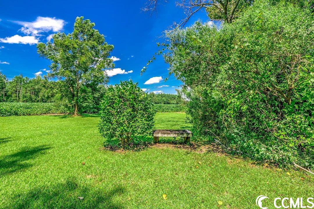 2967 Farmer Road Loris, SC 29569 - Photo 29 of 40 Gallery Image 29