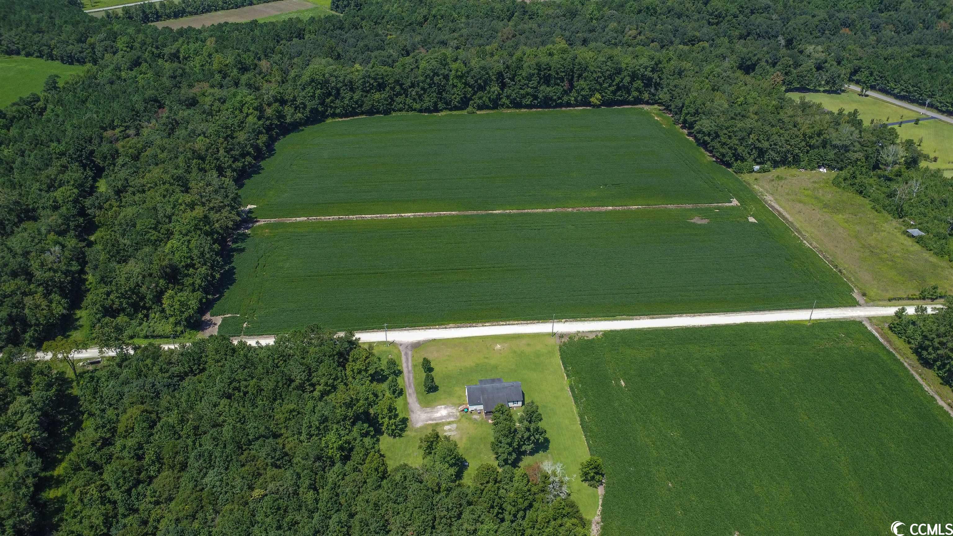 2967 Farmer Road Loris, SC 29569 - Photo 3 of 40 Gallery Image 3