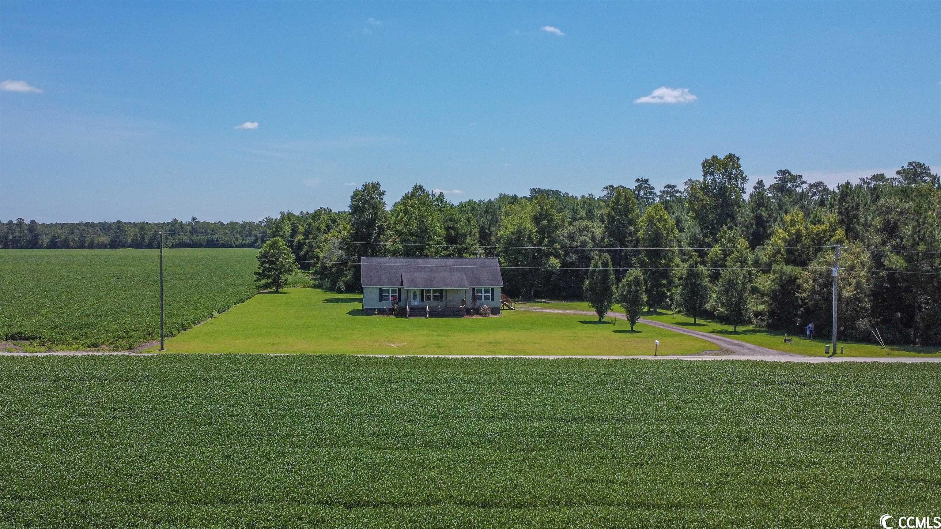 2967 Farmer Road Loris, SC 29569 - Photo 38 of 40 Gallery Image 38