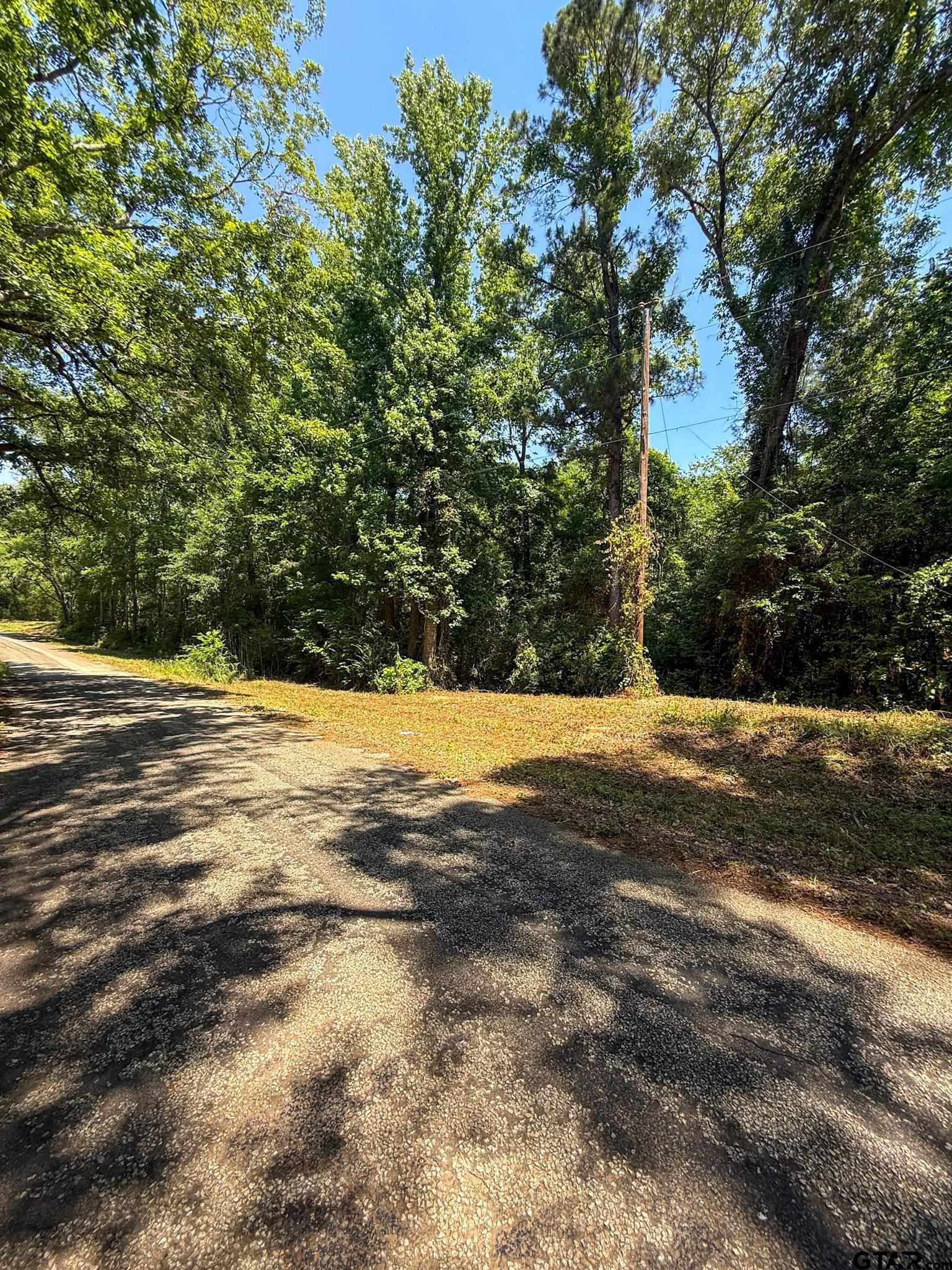 1329 C R 2112 Rusk, TX 75785 - Photo 13 of 13 a view of road and yard