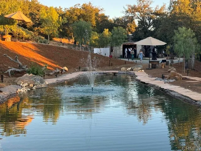 a view of road with large trees