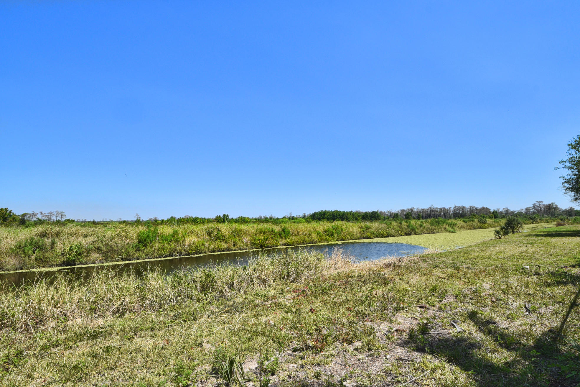 11841 Preservation Lane Boca Raton, FL 33498 - Photo 16 of 54 DSC_8115
