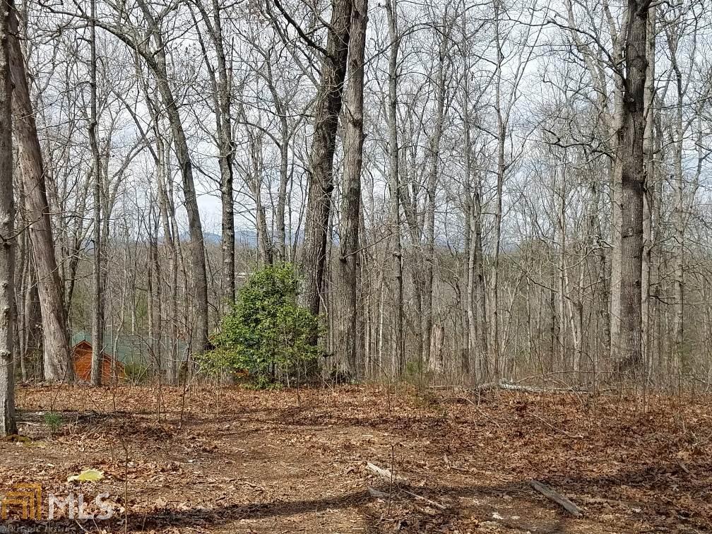 0 Ivy Ridge, Unit LOT 50 Blue Ridge, GA 30513 - Photo 1 of 1