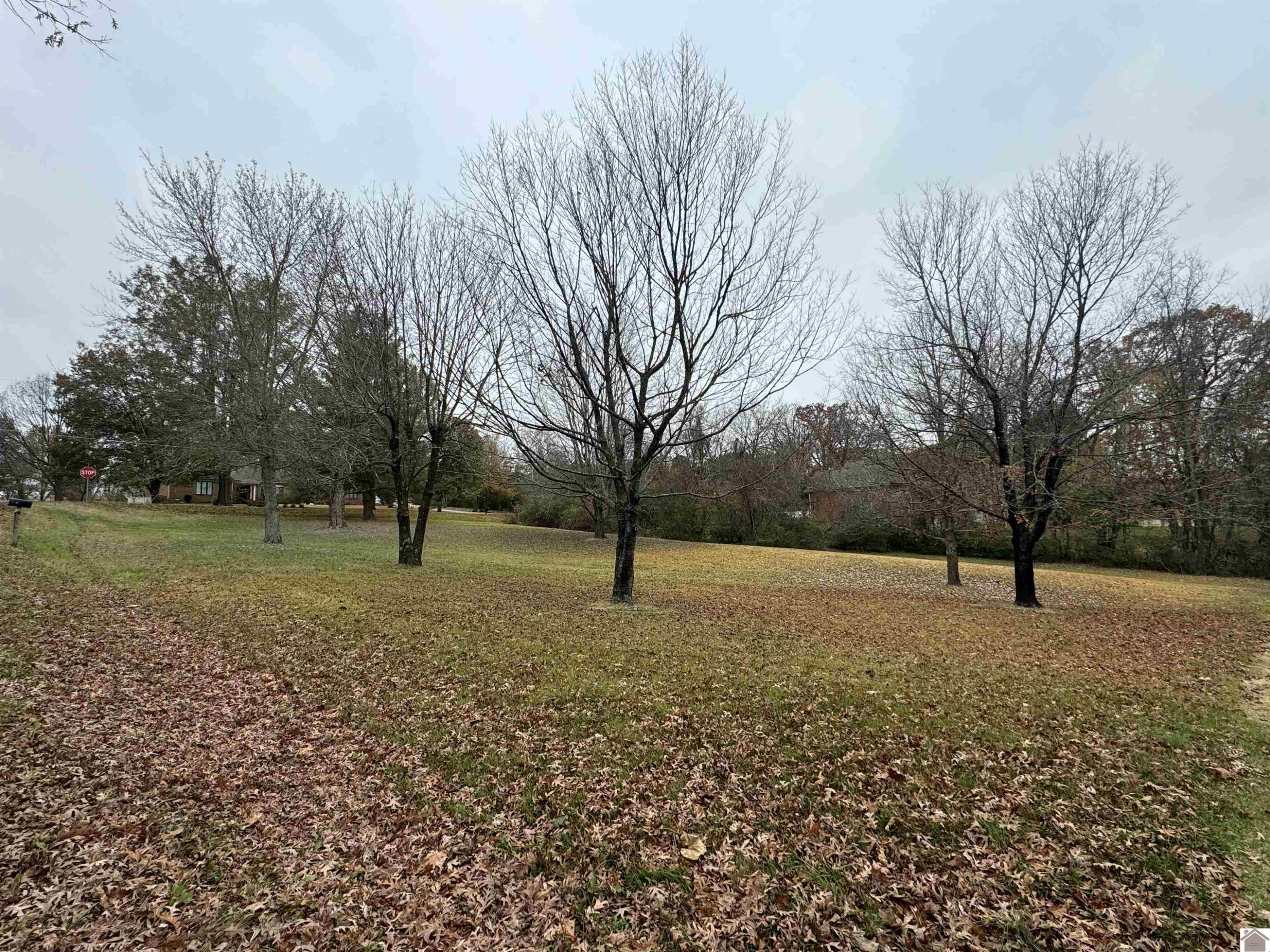 409 Lutes Road, Unit 1C Paducah, KY 42001 - Photo 1 of 5 .78 acres in a mature subdivision in Lone Oak. A real find!
