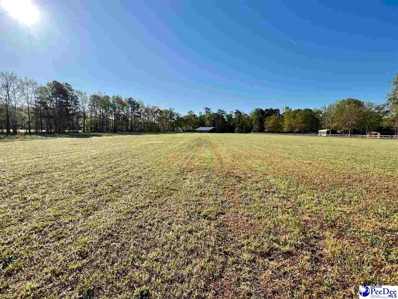 1600 Cashua Ferry Road Darlington, SC 29532 - Photo 1 of 1 Gallery Image 1
