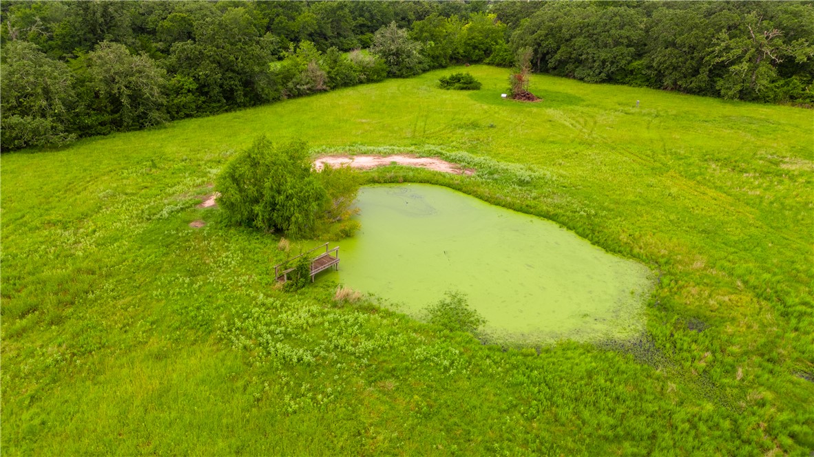 8166 Riley Road Bryan, TX 77808 - Photo 43 of 47 a view of a swimming pool with a yard