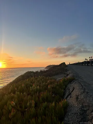 a view of a city and mountains in the background