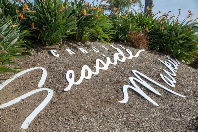 a view of a bench in backyard