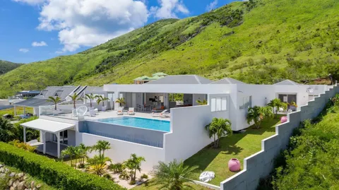 an aerial view of a house with garden space and street view