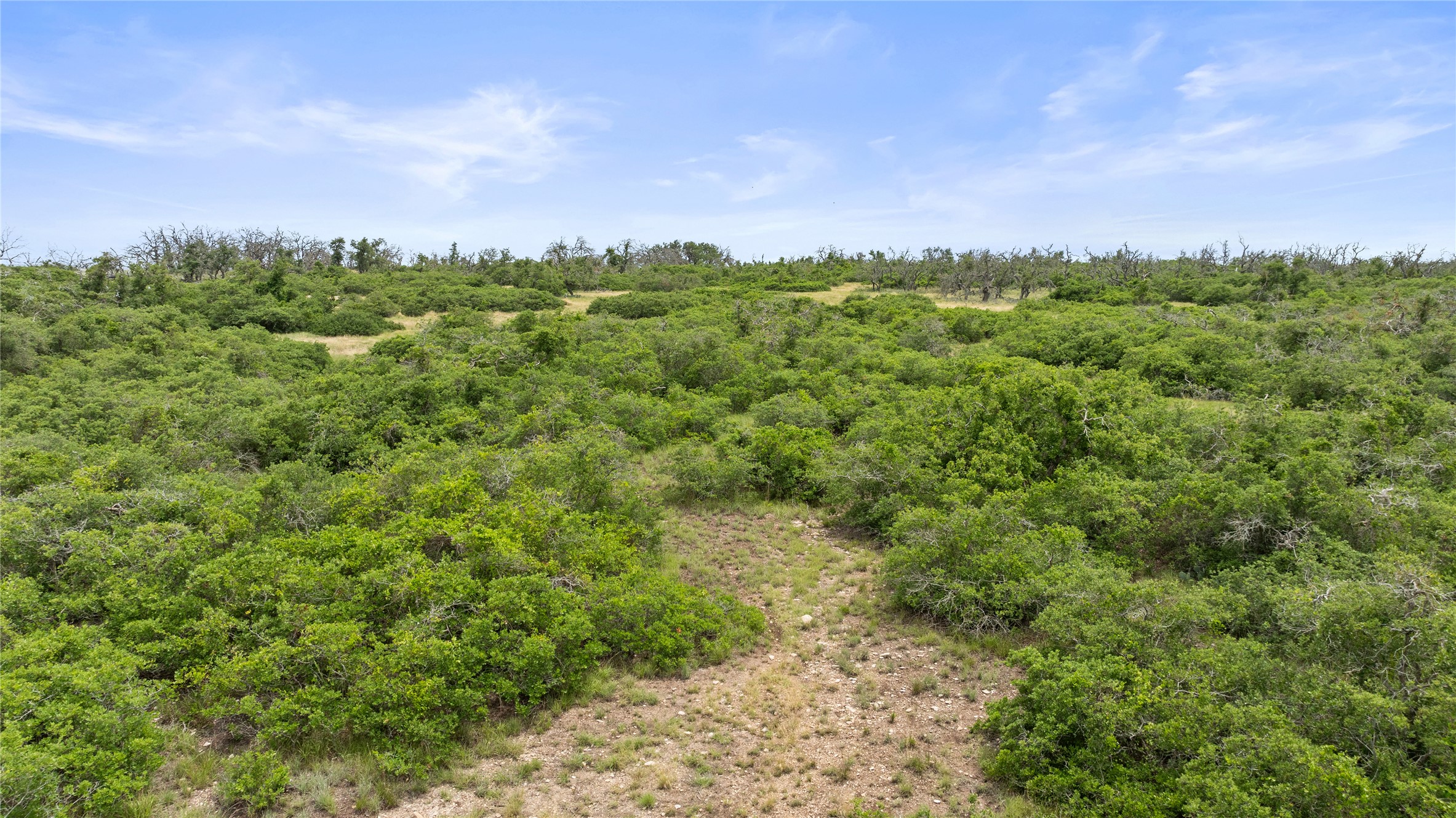 3049 Reservation Road Harper, TX 78631 - Photo 15 of 40 a view of a city with lush green forest