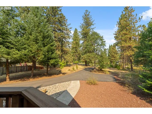 a view of a yard with plants