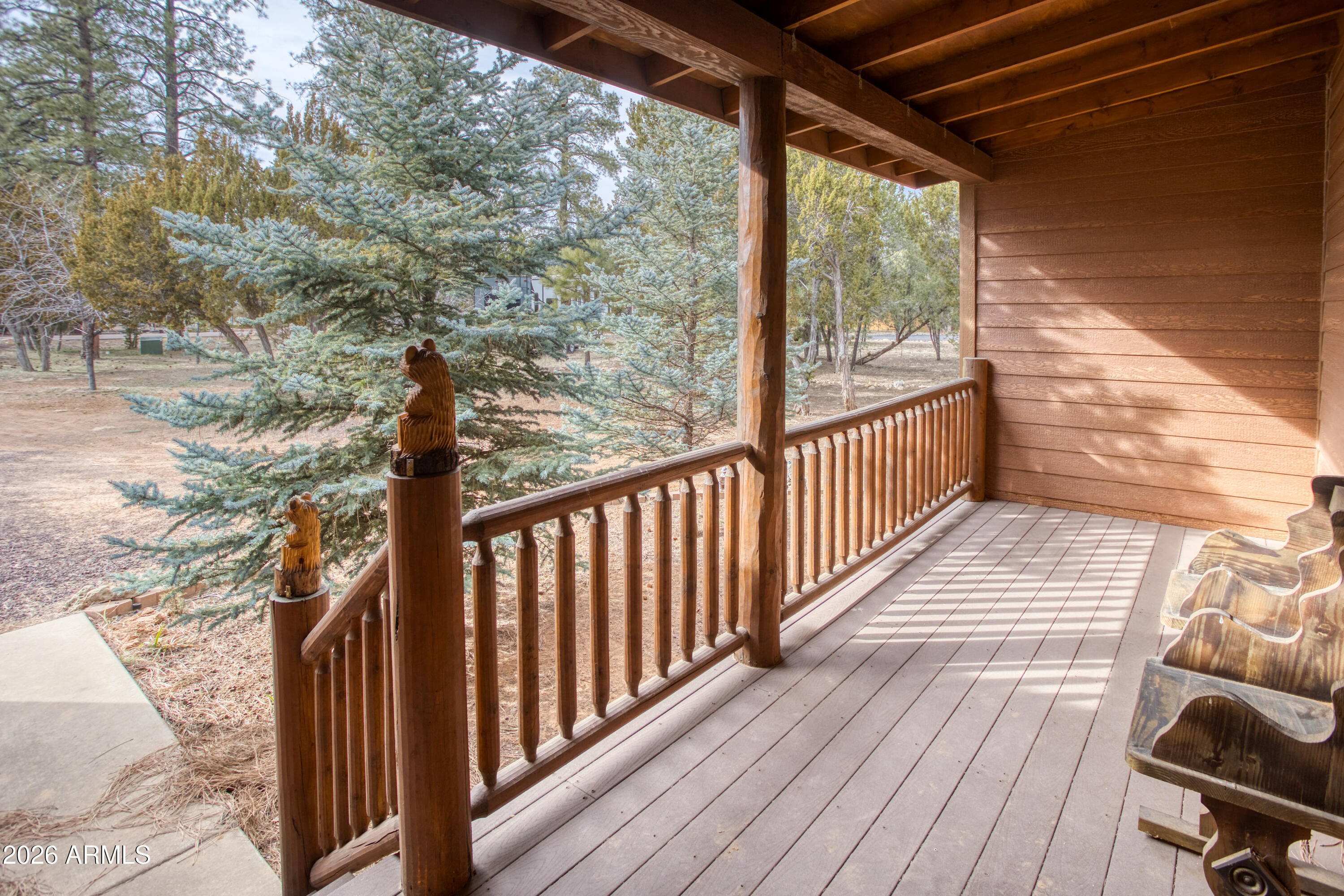 2949 Pine Rim Road Overgaard, AZ 85933 - Photo 13 of 14