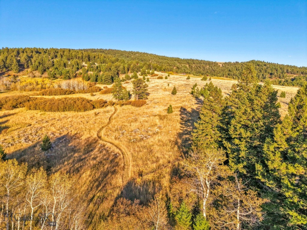 1680 Harrison Meadow Road Bozeman, MT 59715 - Photo 97 of 100 Gallery Image 97