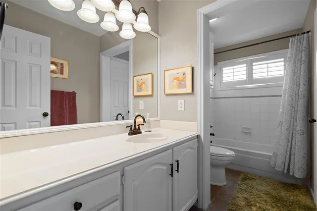 a bathroom with a sink a toilet and a bathtub