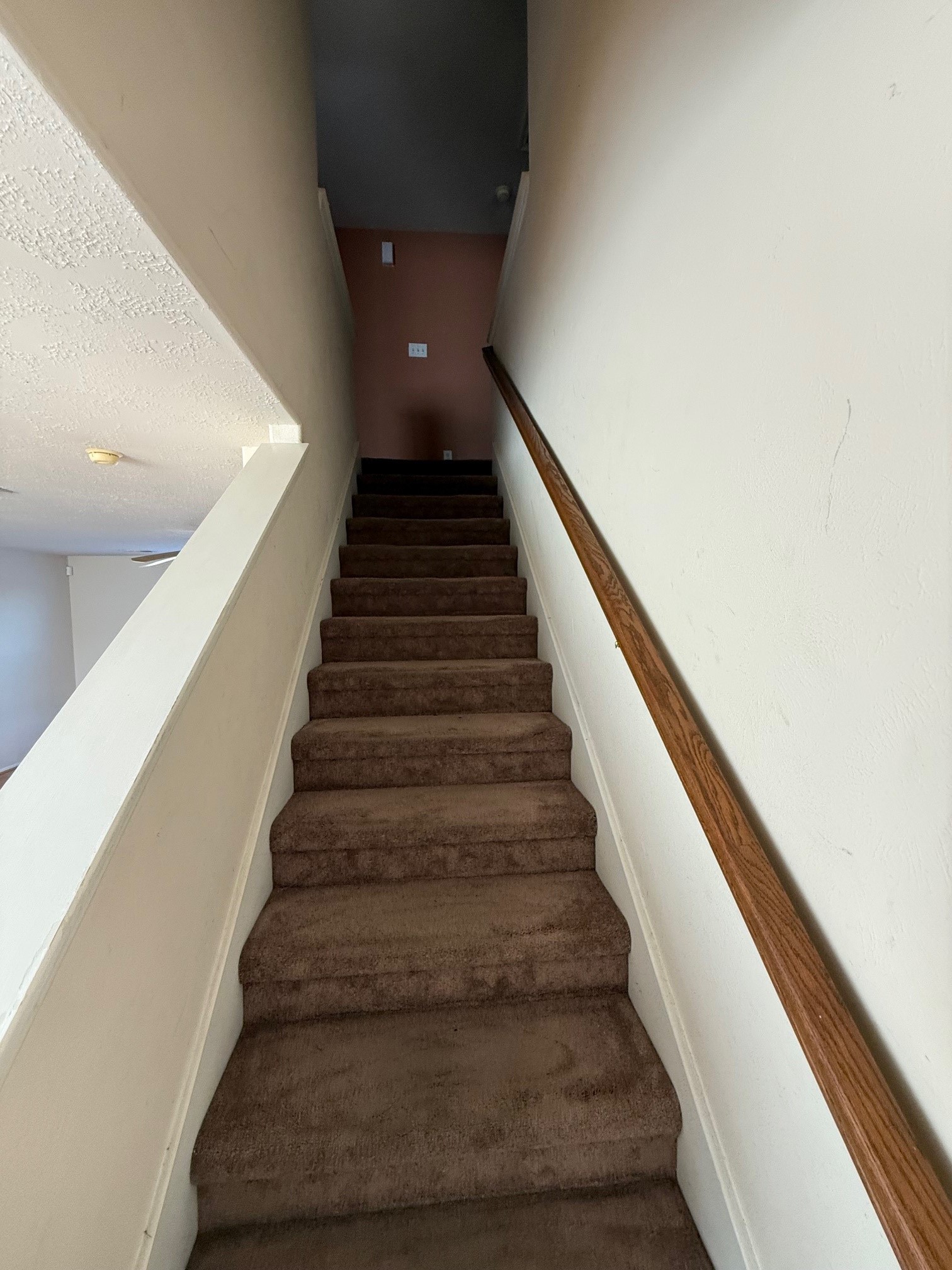 6014 Pinacle Point Houston, TX 77085 - Photo 16 of 27 a view of entryway