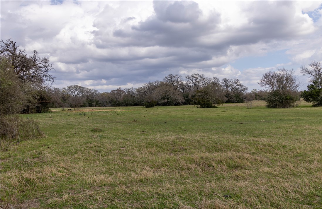 10100 Ferrill Creek Road Bryan, TX 77808 - Photo 13 of 20 a view of a field with an ocean