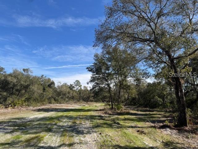 Northeast 150th Avenue Road Fort McCoy, FL 32134 - Photo 6 of 48 Gallery Image 6