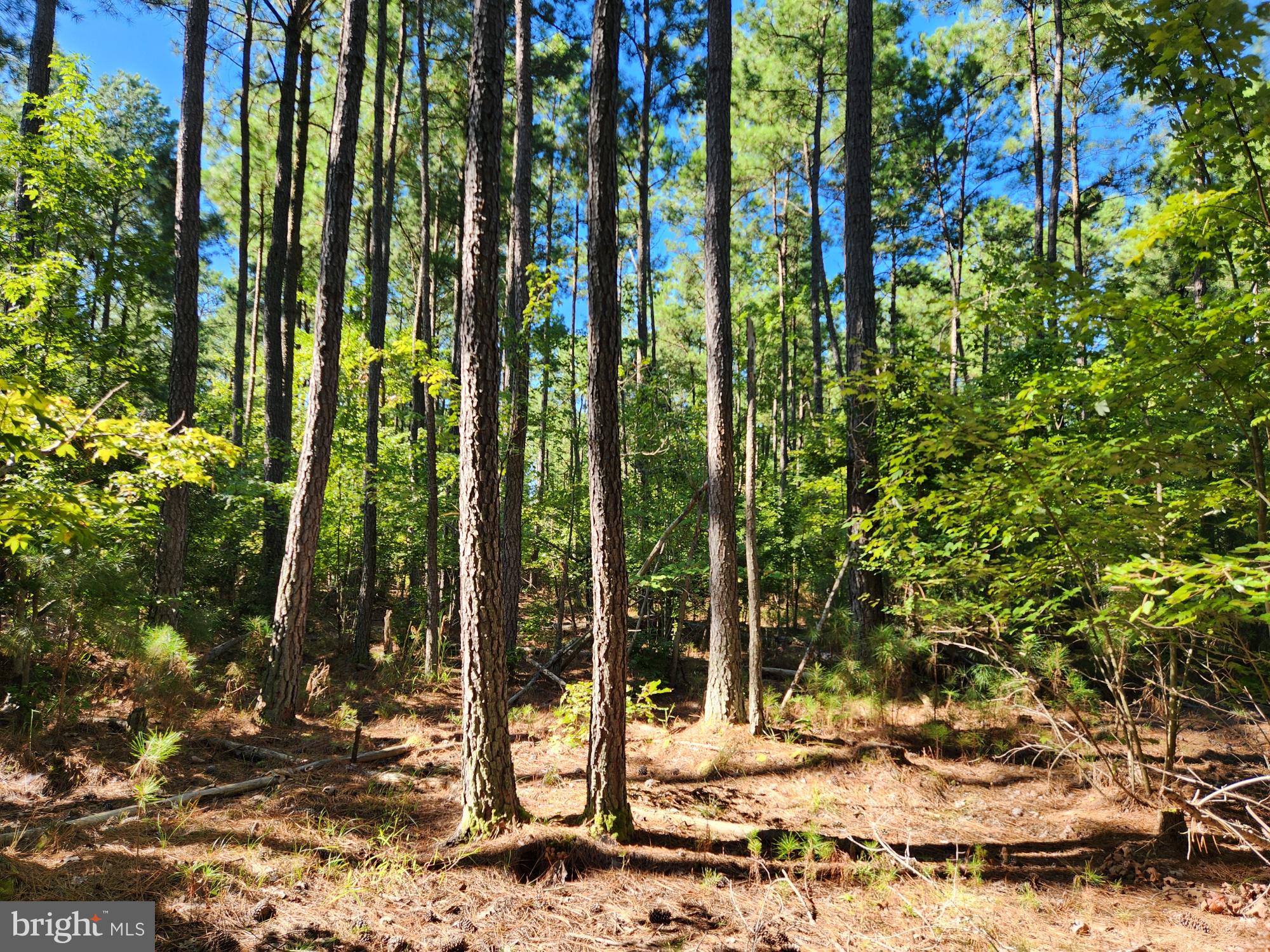 a view of a backyard of the house