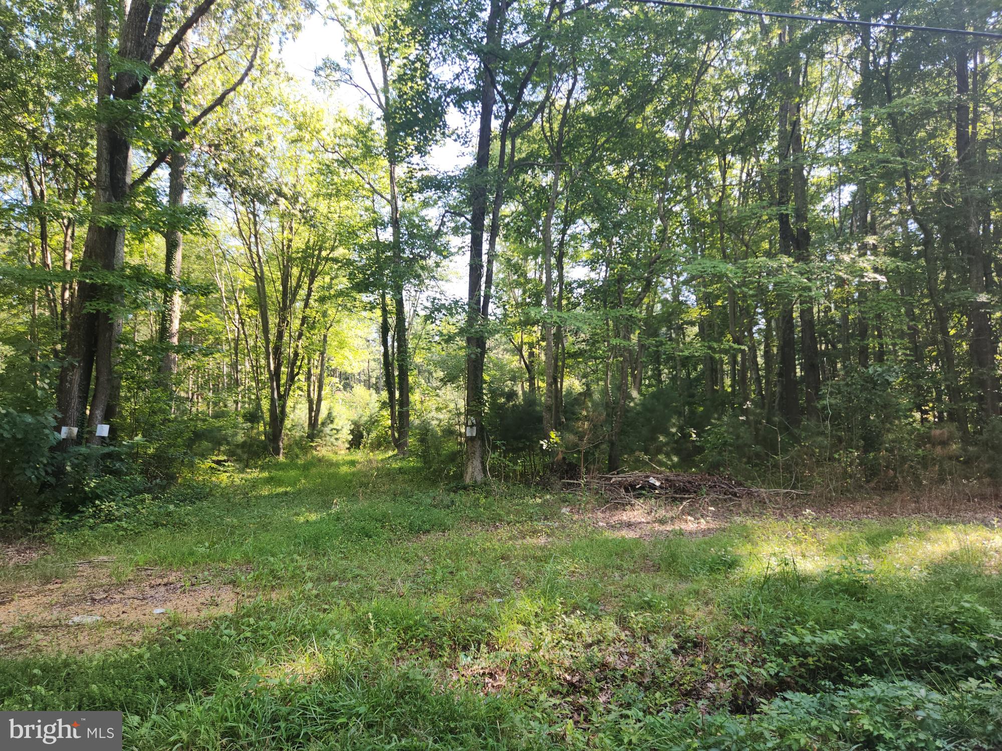 Fresh Pond Neck Road Scotland, MD 20687 - Photo 2 of 10 a view of outdoor space and yard