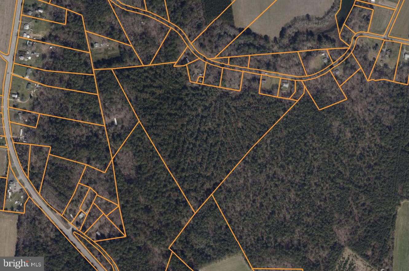 Fresh Pond Neck Road Scotland, MD 20687 - Photo 5 of 10