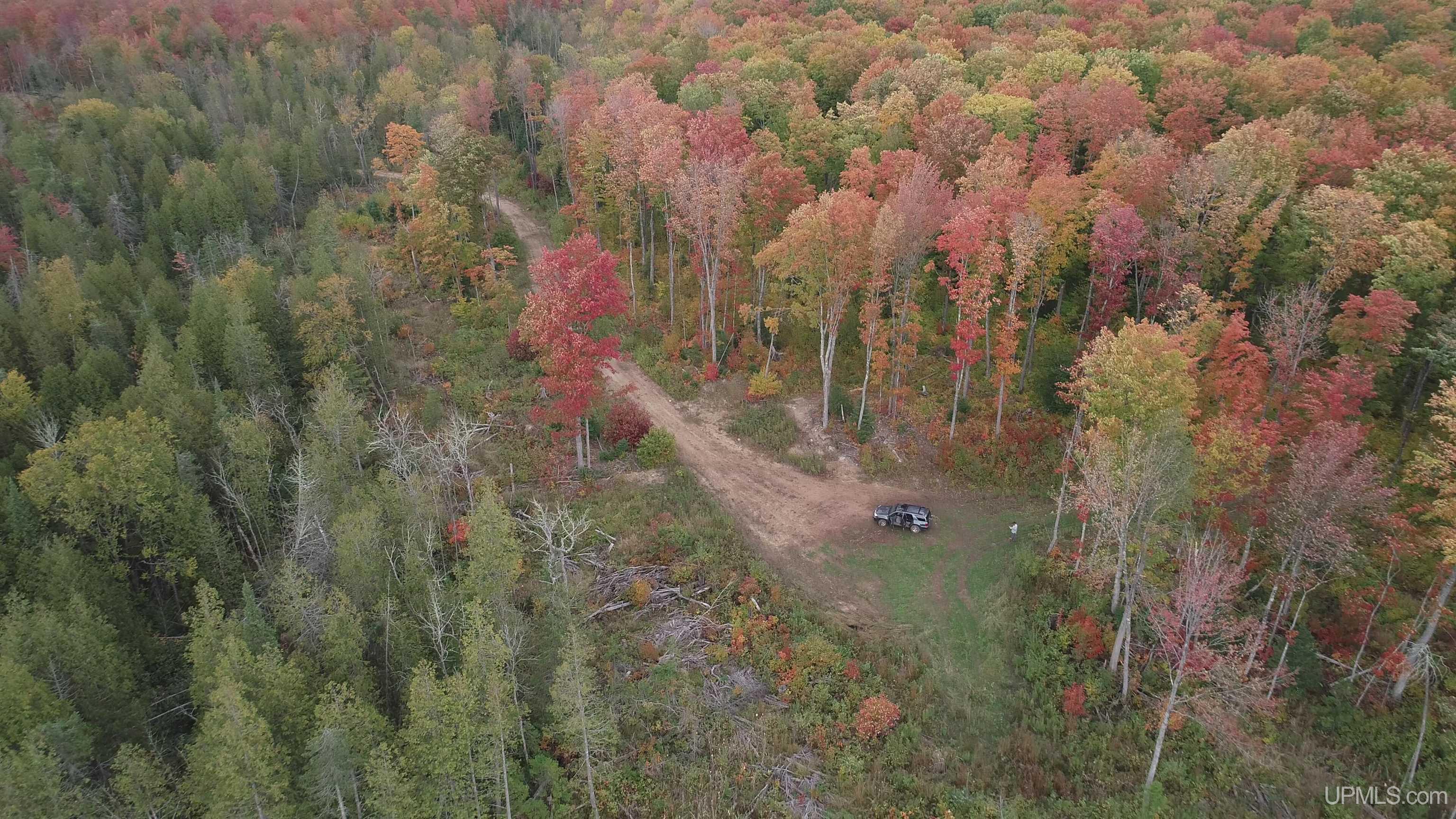 327 Rd Rumely Mi 49826 Road Skandia, MI 49885 - Photo 1 of 23
