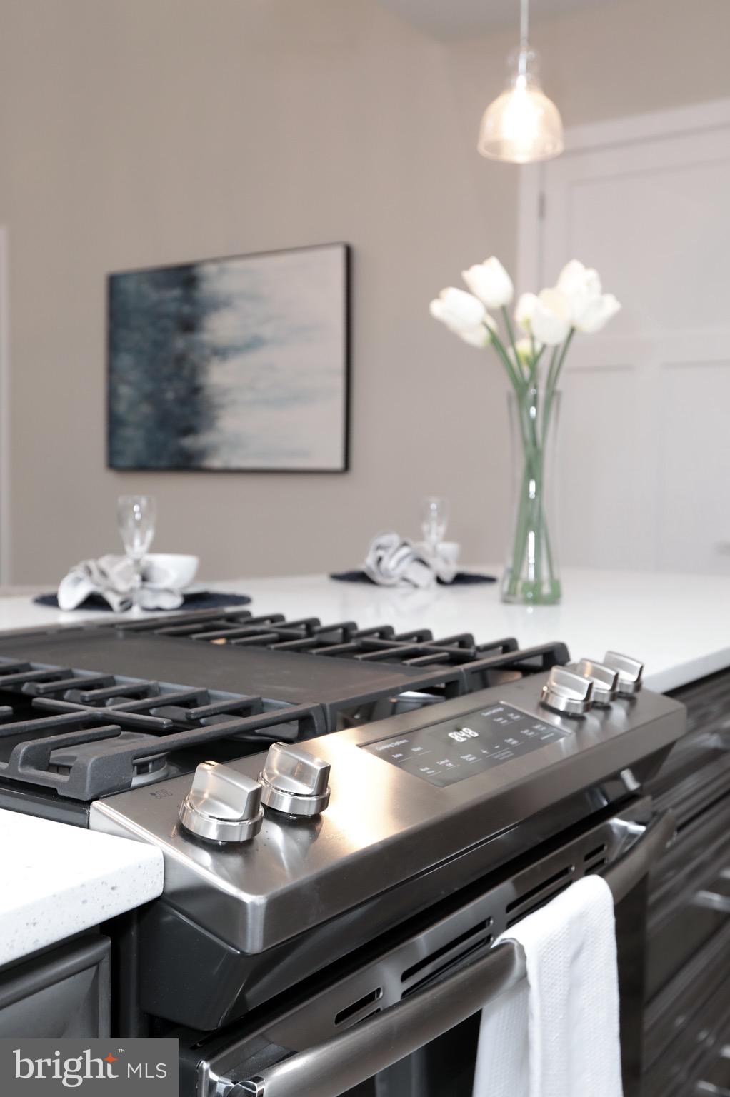 16761 Gridiron Road Cobb Island, MD 20625 - Photo 17 of 93 Upgraded gas stove with pop up fan