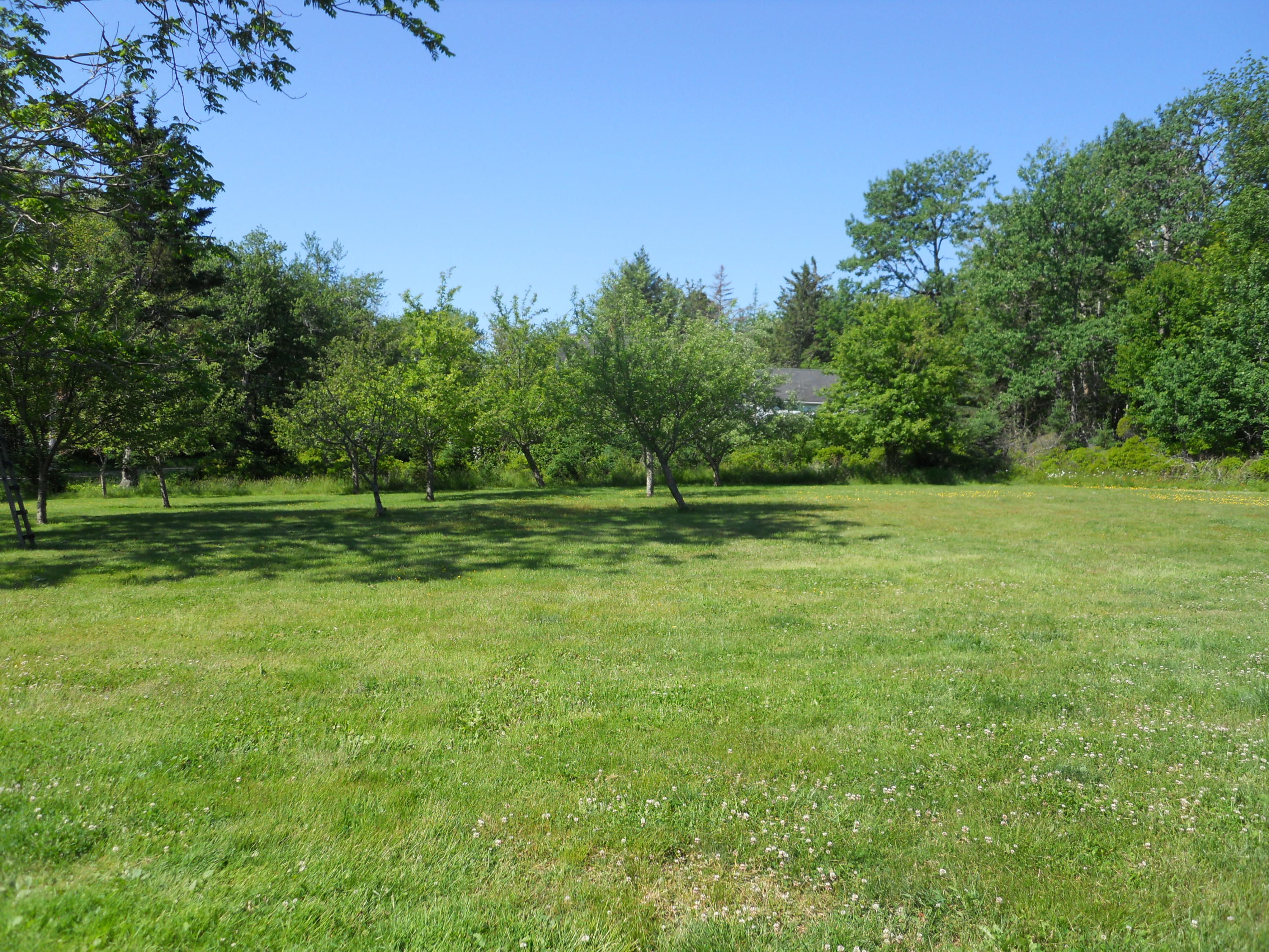 1326 Main Road Islesboro, ME 04848 - Photo 31 of 35 YARD DSCN0371