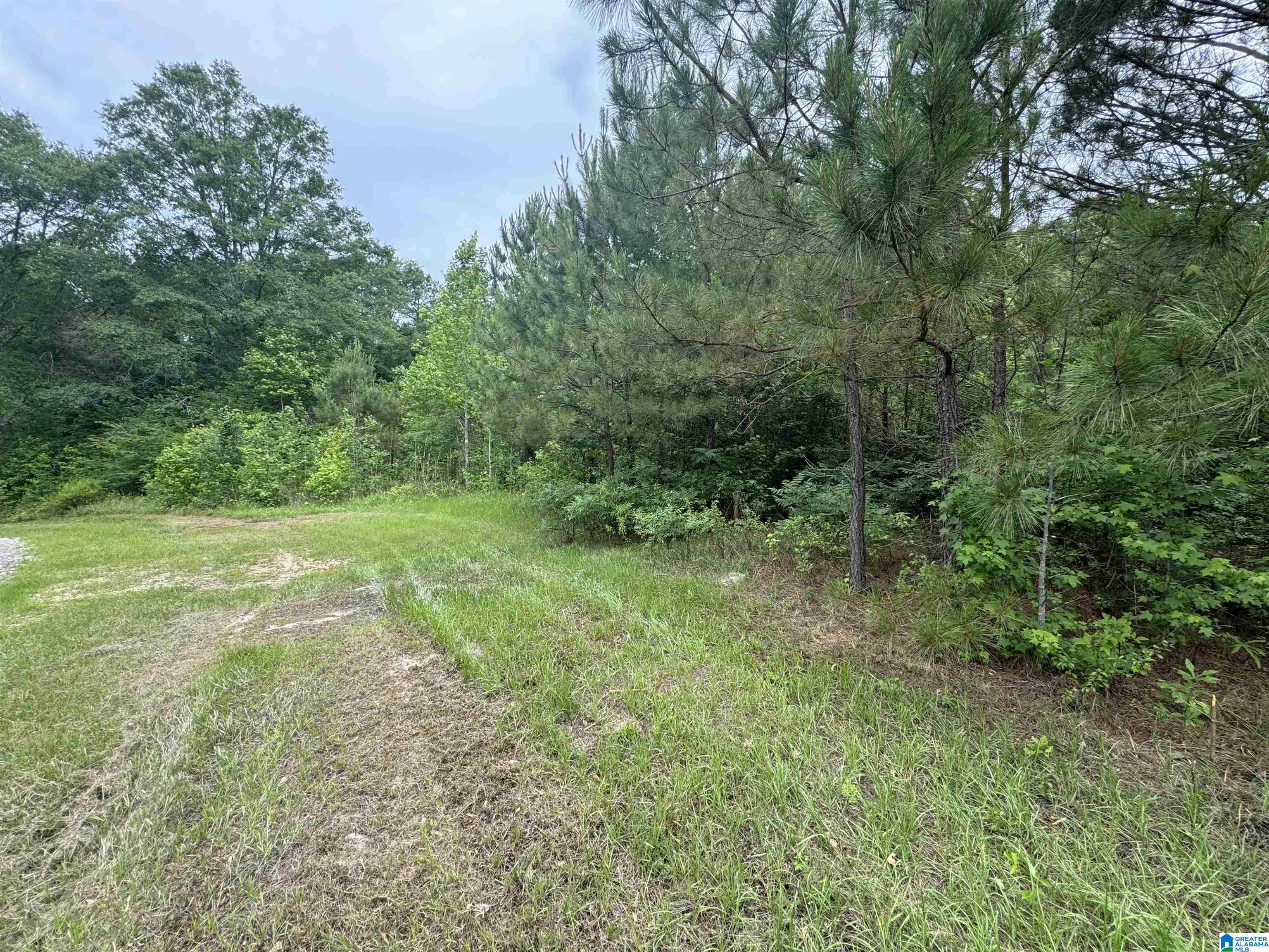 0 Rock Hill Road, Unit 1 Haleyville, AL 35565 - Photo 4 of 4