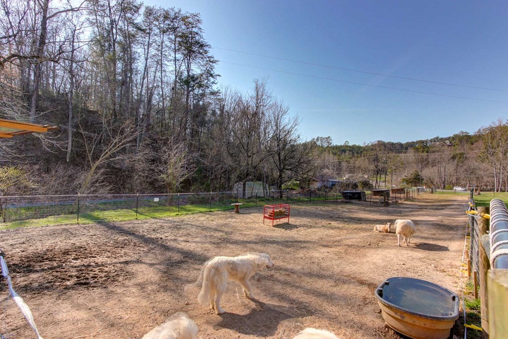 3704 Wilhite Road Sevierville, TN 37876 - Photo 29 of 61