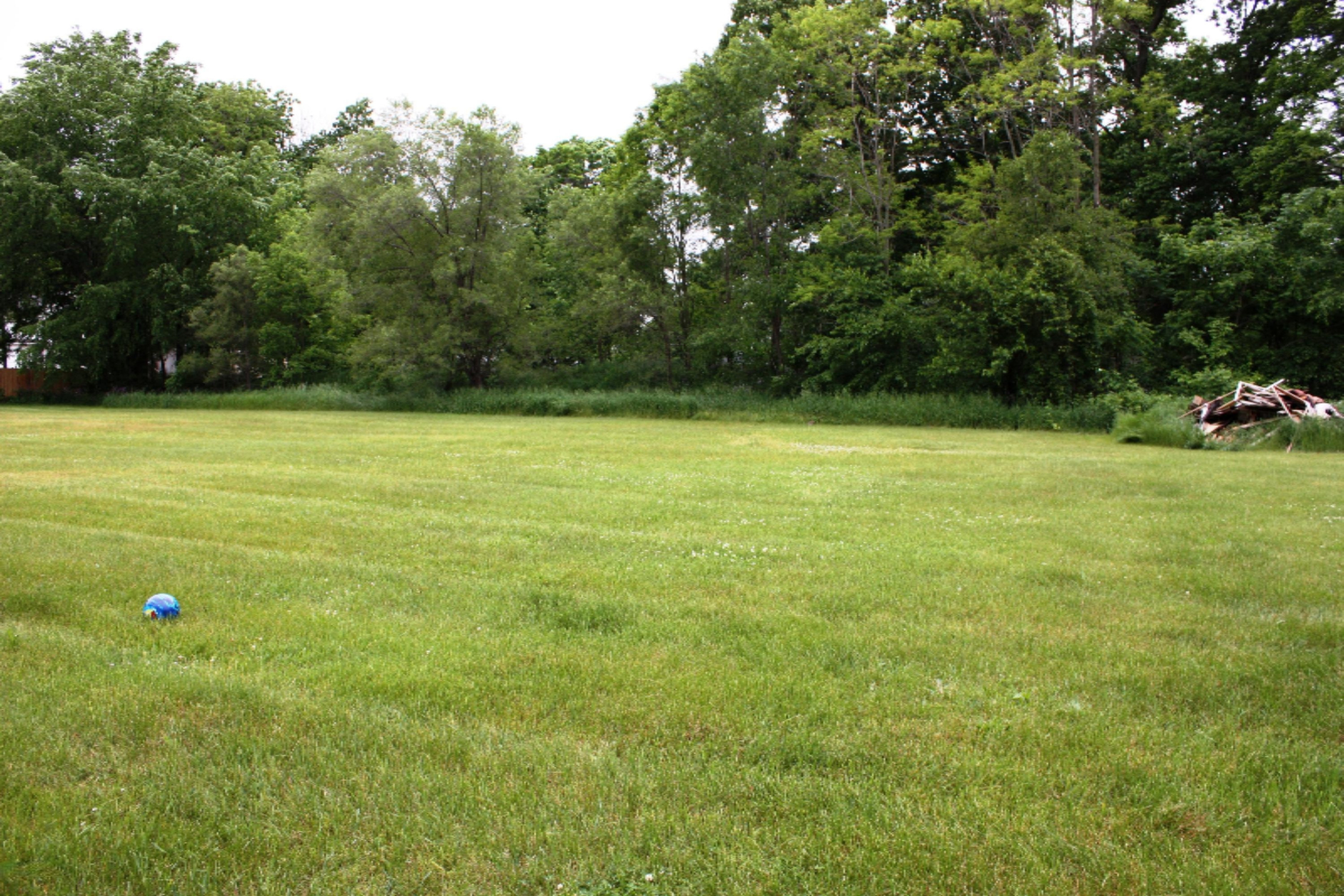 466 Centreville Road Constantine, MI 49042 - Photo 49 of 52 IMG_0026