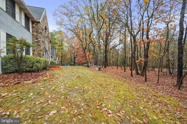 a backyard of a house with lots of green space